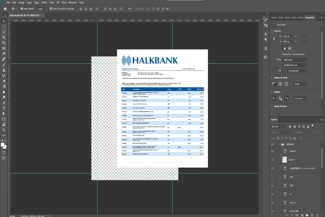 Modèle Word et PDF de déclaration commerciale de Halkbank template Modèle Word et PDF de déclaration commerciale de Halkbank template